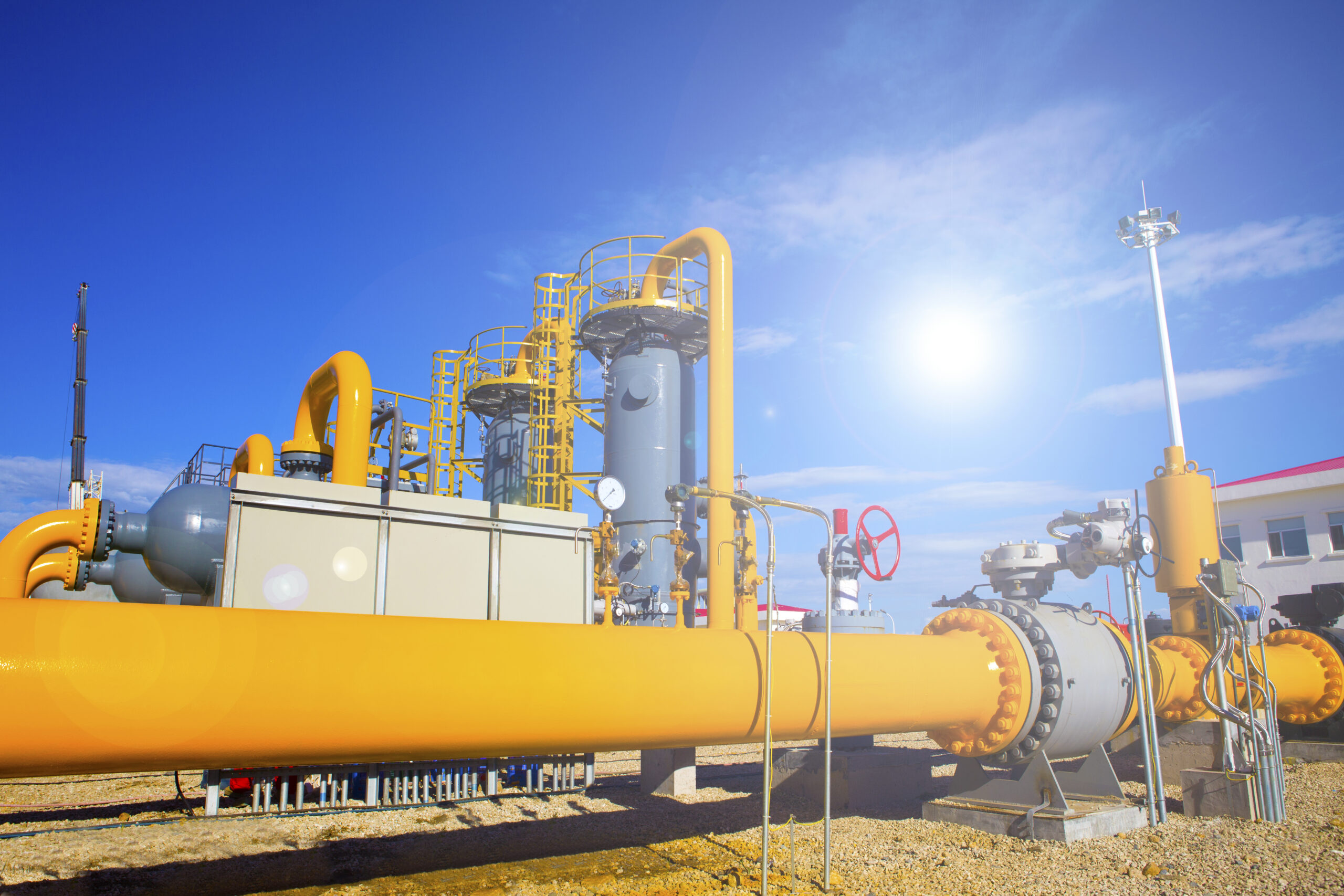 shutterstock 176429381 scaled